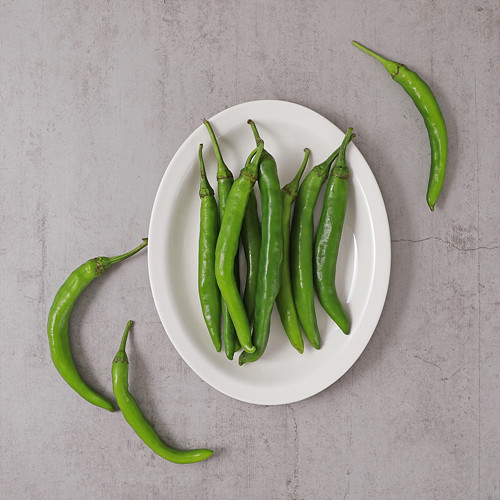 [(통)오이맛고추*150g*무이상]-상세정보