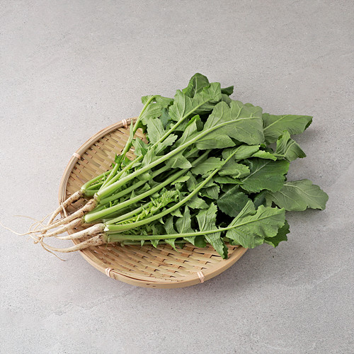 [어린열무(대경)*300g*무이상]-상세정보