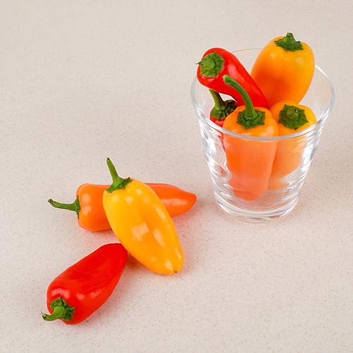 [(통)미니파프리카*200g*무이상]-상세정보